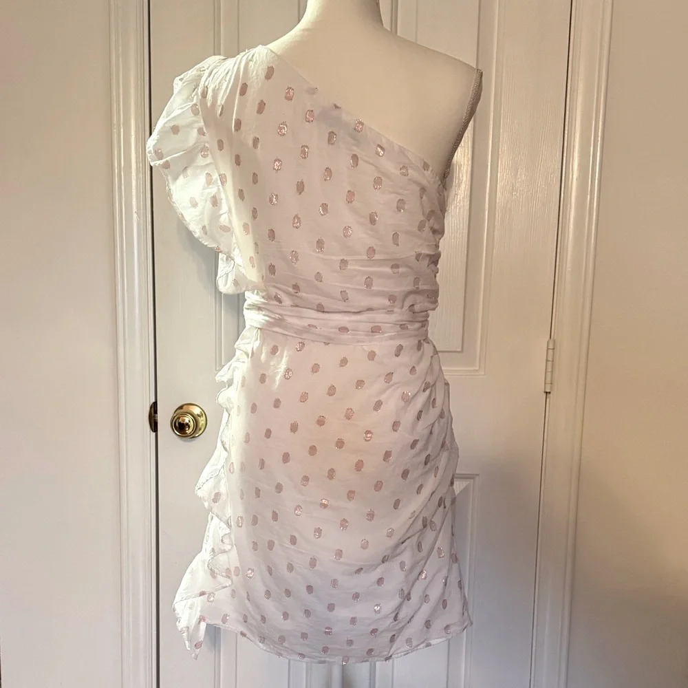 “LOVERS + FRIENDS” X Revolve Whitney Rose Dress - Picture 12 of 16